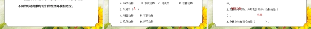教科版六年级科学上册第四单元《生物的多样性-种类繁多的动物》PPT课件.pptx