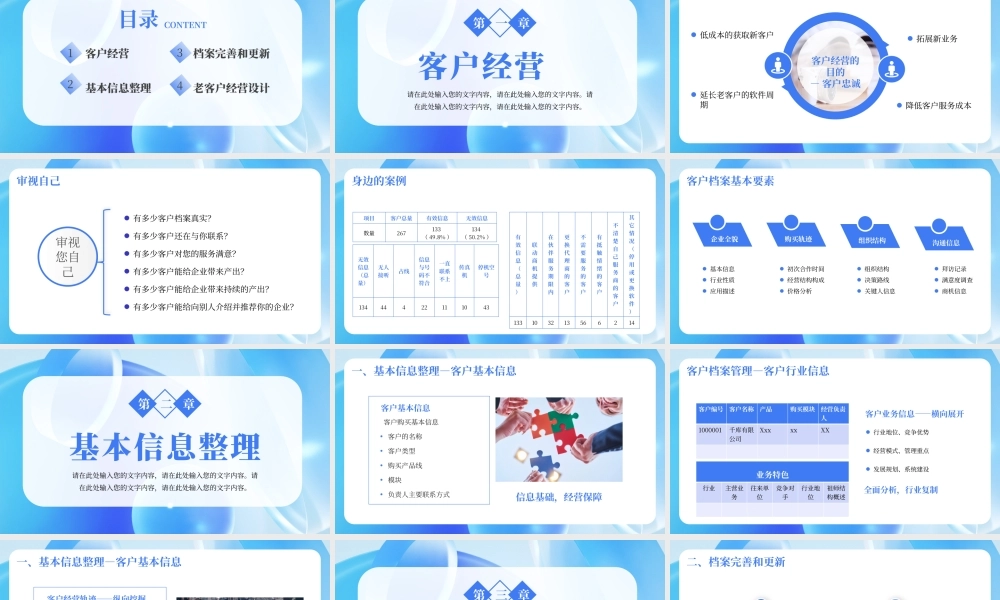 蓝色商务大气客户经营客户档案管理PPT模板.pptx