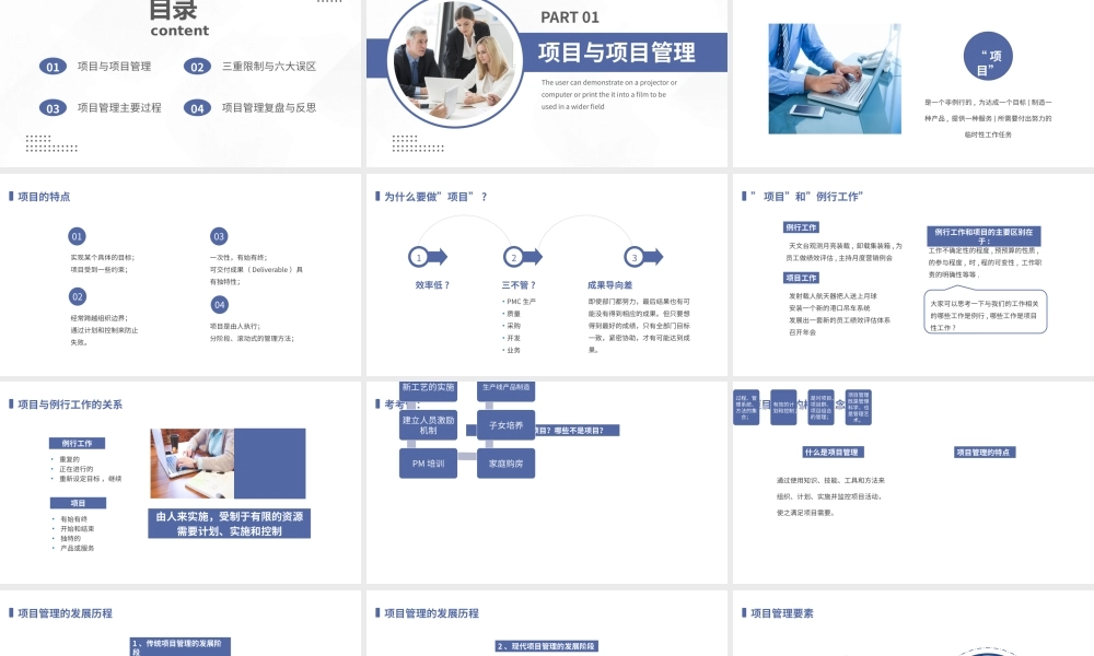 蓝色简约风有效的项目管理PPT.pptx
