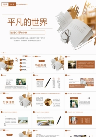 棕色简约读书分享平凡的世界PPT.pptx