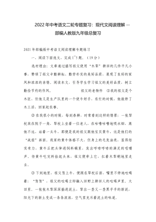 2022年中考语文二轮专题复习：现代文阅读理解 -- 部编人教版九年级总复习.docx