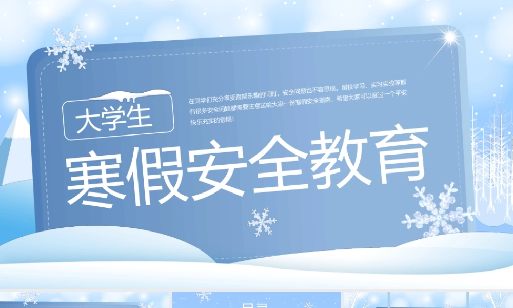 大学生寒假安全教育.pptx
