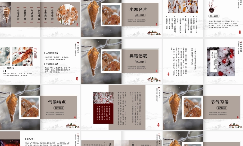 中国风二十四节气小寒介绍.pptx