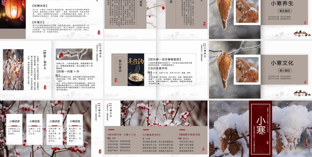 中国风二十四节气小寒介绍.pptx