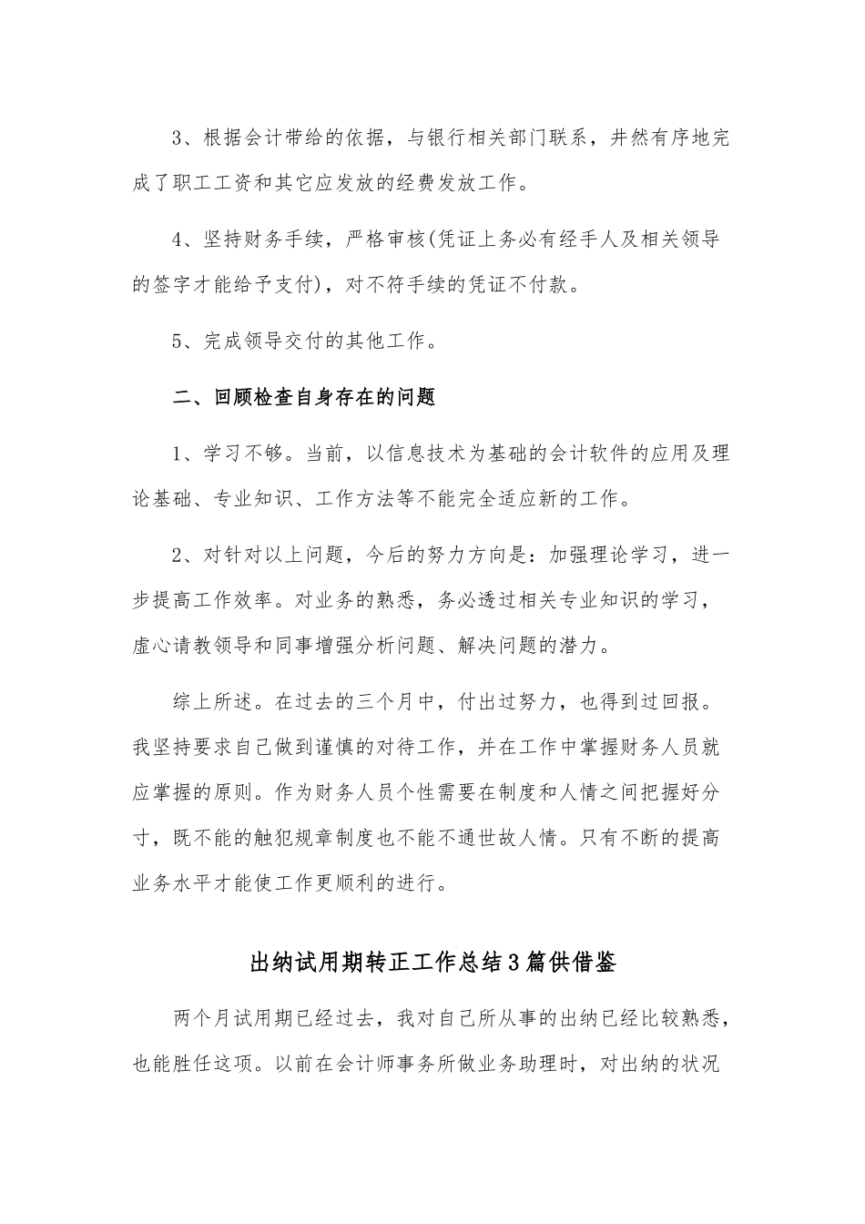 出纳试用期转正工作总结3篇供借鉴.docx_第2页
