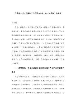 在2022年未成年人保护工作领导小组第一次全体会议上的讲话.docx