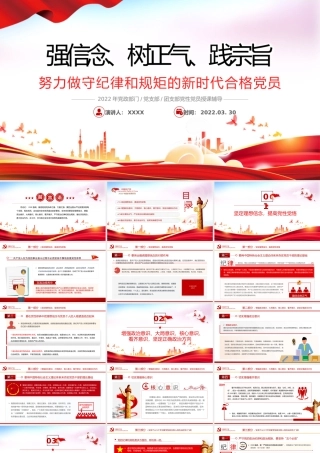 强信念、树正气、践宗旨努力做守纪律和规矩的新时代合格党员PPT课件（付心得体会）.pptx