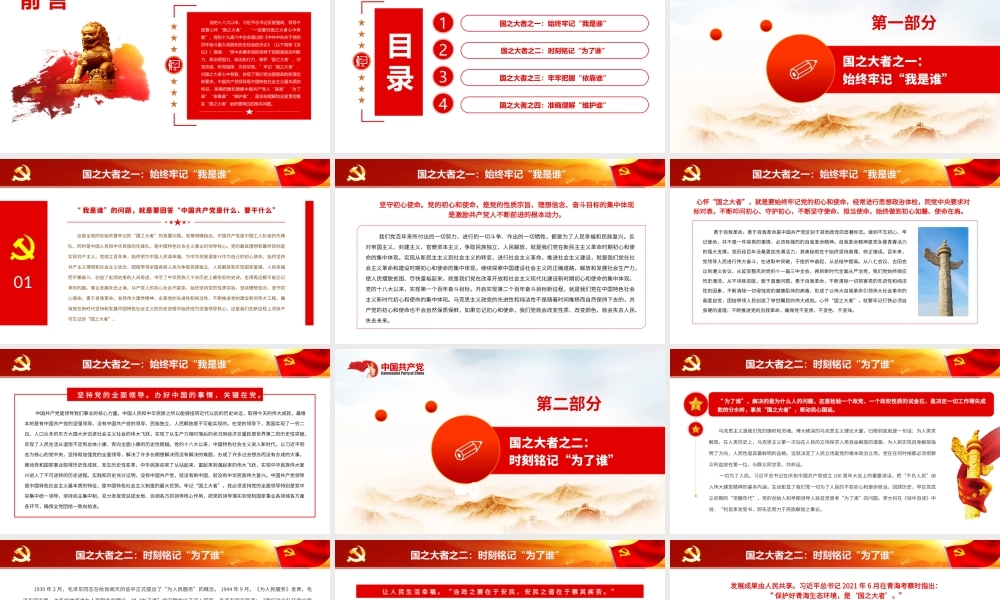 深入学习《决议》-深刻把握和全面理解“国之大者”的丰富内涵PPT课件（带内容）.pptx