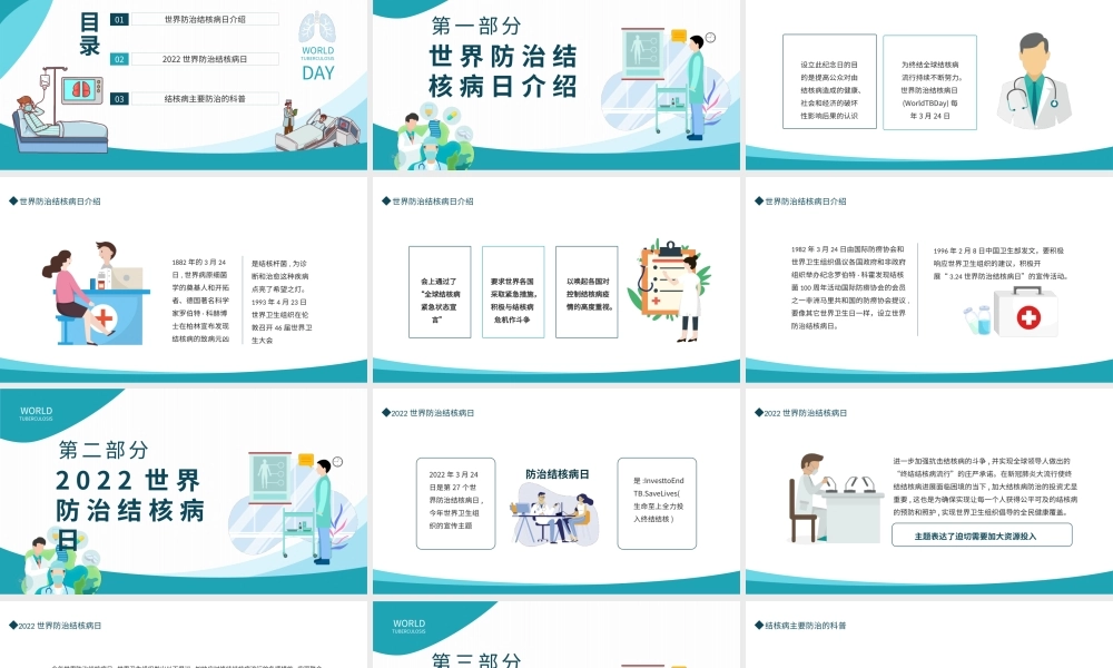 世界防治结核病日生命至上全力投入终结结核PPT课件（带内容）.pptx