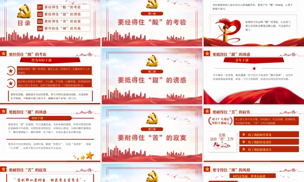 青年干部要会品味“酸甜苦辣”专题党课PPT课件（附心得体会）.ppt