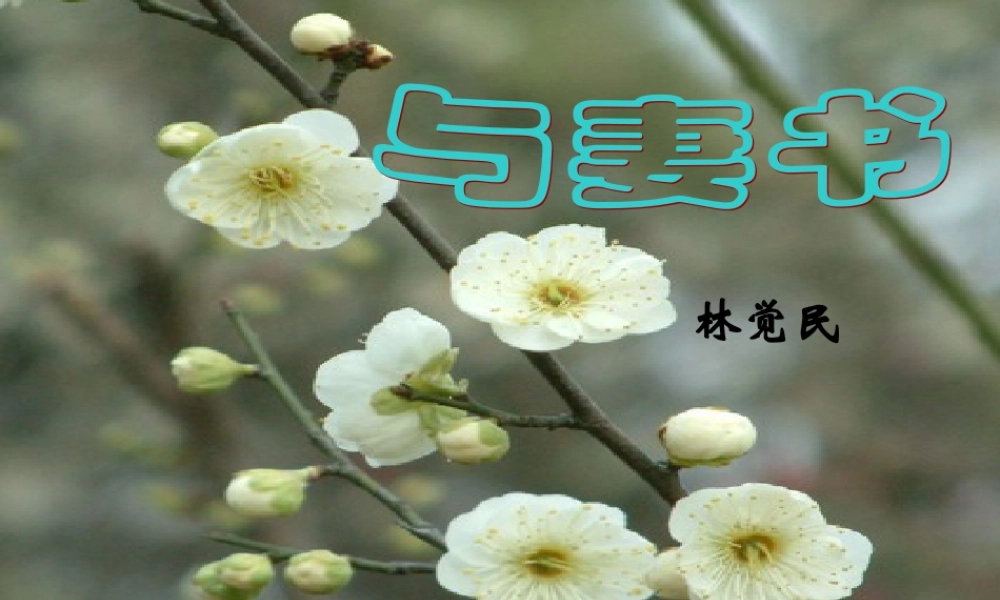【粤教版】语文必修二第四单元第17课《与妻书》（共54张PPT）.ppt