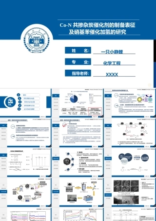 湖南大学碳基功能材料论文答辩PPT.pptx
