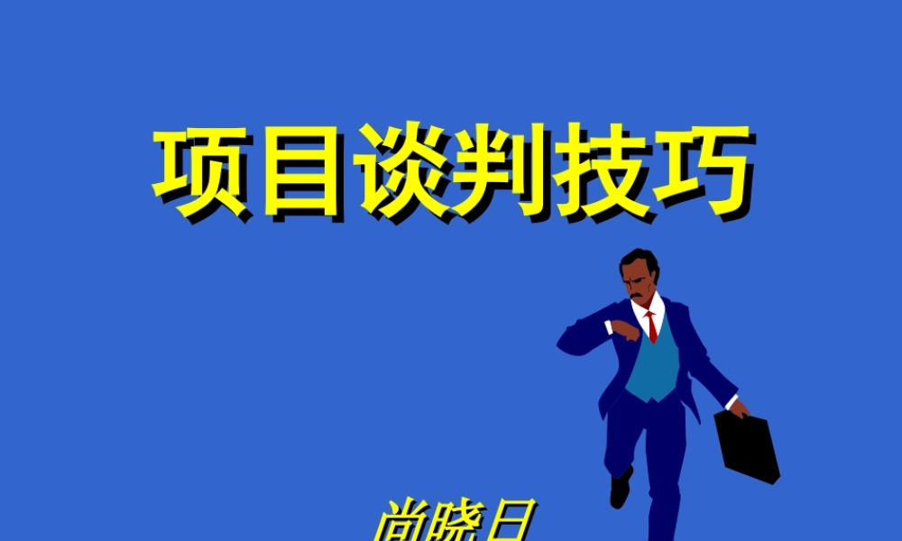 项目谈判技巧.ppt