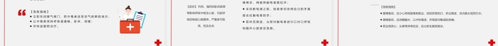 红灰色简约世界红十字日主题班会PPT课件（带内容）.pptx
