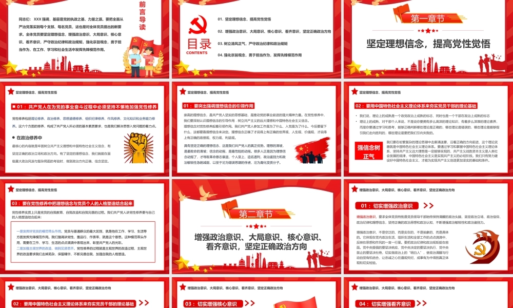 强信念、树正气、践宗旨努力做守纪律和规矩的新时代合格党员PPT课件（带内容）.pptx