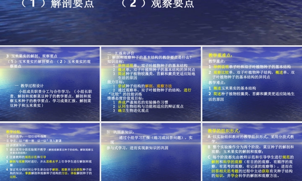 中学生物实践活动四.ppt
