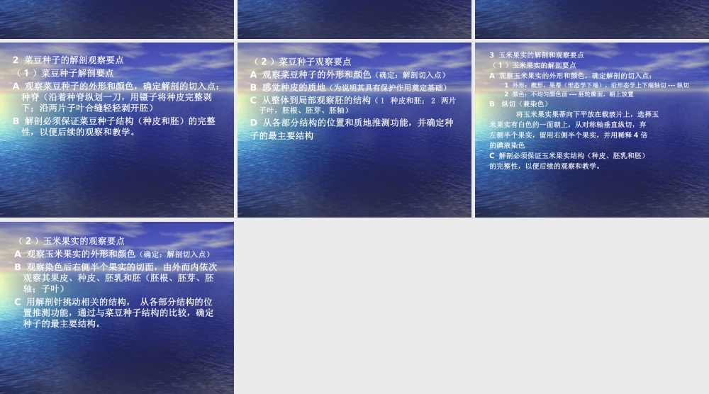 中学生物实践活动四.ppt