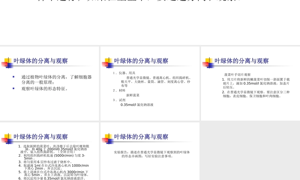 细胞实验课件叶绿体的分离与观察.ppt