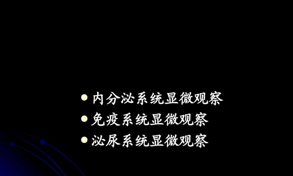 实验九.2 内分泌 免疫系统、泌尿系统显微观察st2016.ppt