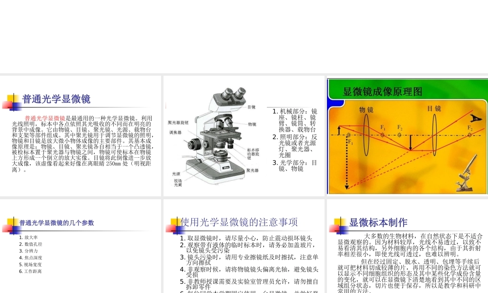 生科大三材料实验一_普通光学显微镜以及显微标本制作.ppt
