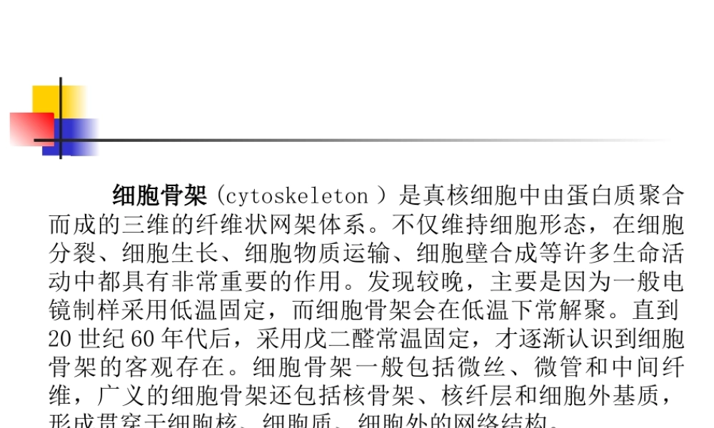 生科大三材料生科大三材料植物细胞骨架的显示与观察.ppt