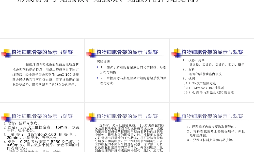 生科大三材料生科大三材料植物细胞骨架的显示与观察.ppt