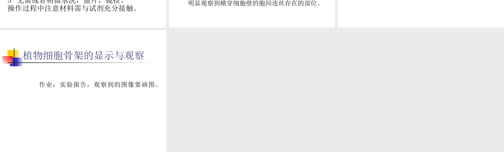 生科大三材料生科大三材料植物细胞骨架的显示与观察.ppt