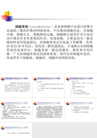 生科大三材料生科大三材料植物细胞骨架的显示与观察.ppt