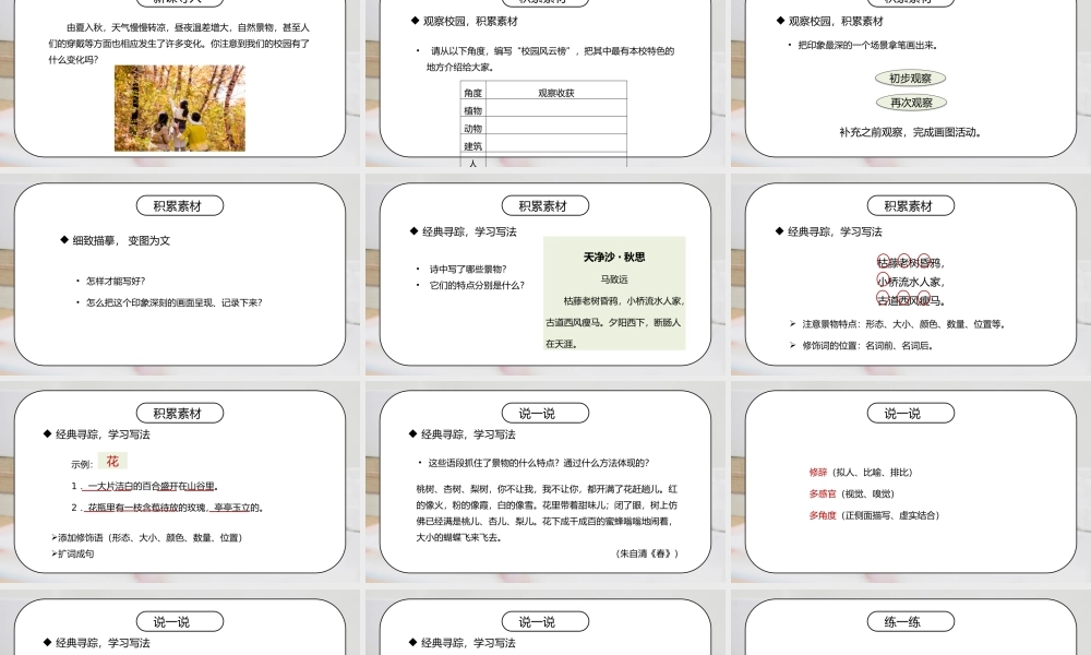 部编版七年级语文上册习作《热爱生活热爱写作》PPT课件.pptx