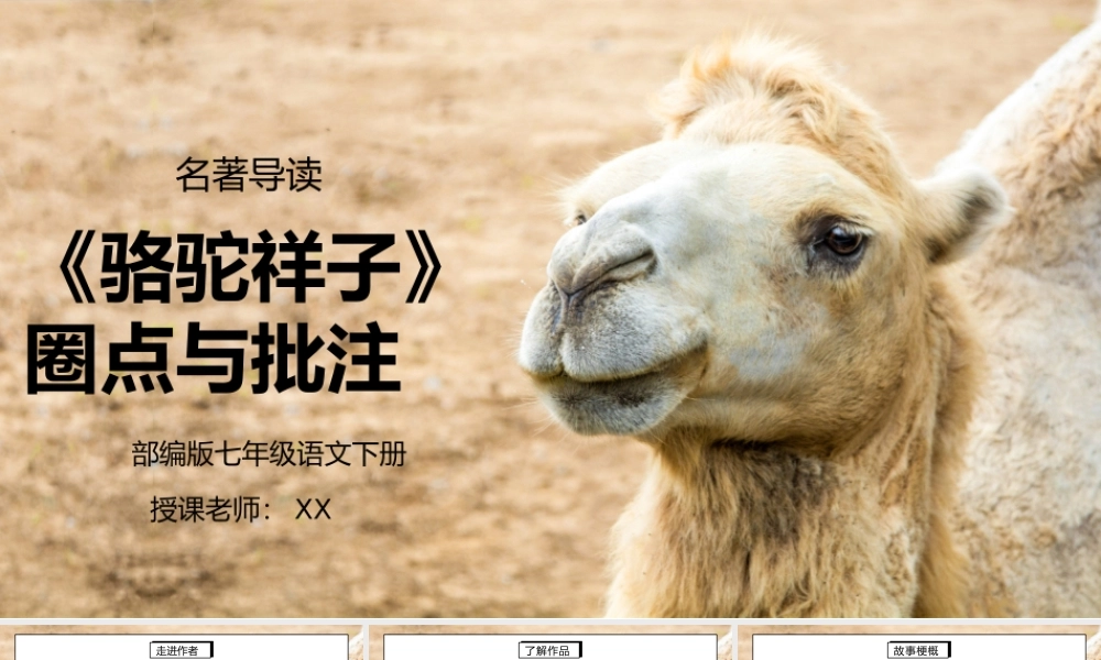 部编版七年级语文下册名著导读《骆驼祥子圈点与批注》PPT课件.pptx