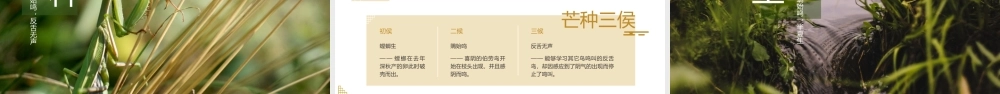 中国传统文化之二十四节气介绍PPT模板.pptx
