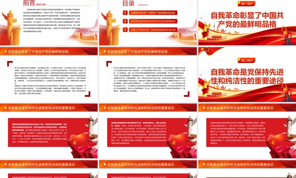 深入理解把握党的自我革命的科学内涵PPT课件（带内容）.pptx