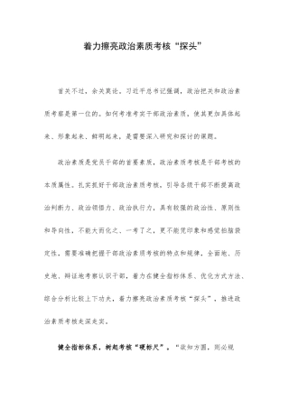 着力擦亮政治素质考核“探头”.docx