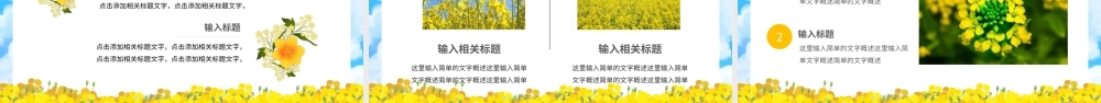 油菜花节日活动-油菜花开PPT课件（带内容）.pptx