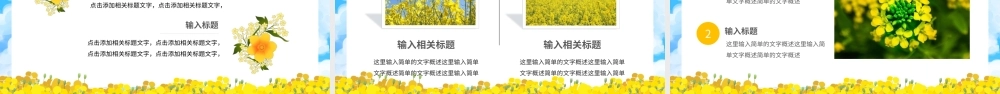 油菜花节日活动-油菜花开PPT课件（带内容）.ppt