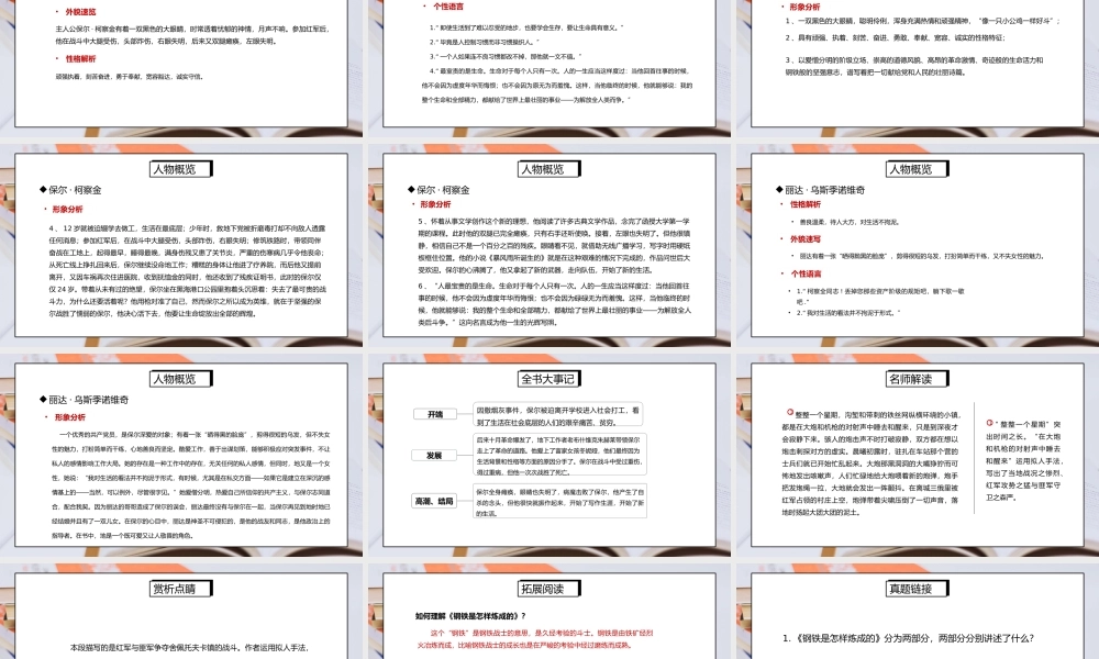 部编版八年级语文下册名著导读《钢铁是怎样炼成的》PPT课件.pptx