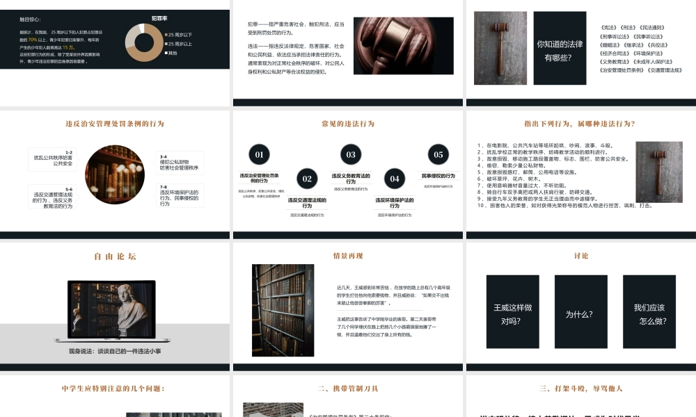 黑金风422世界法律日介绍知法守法PPT课件（带内容）.pptx