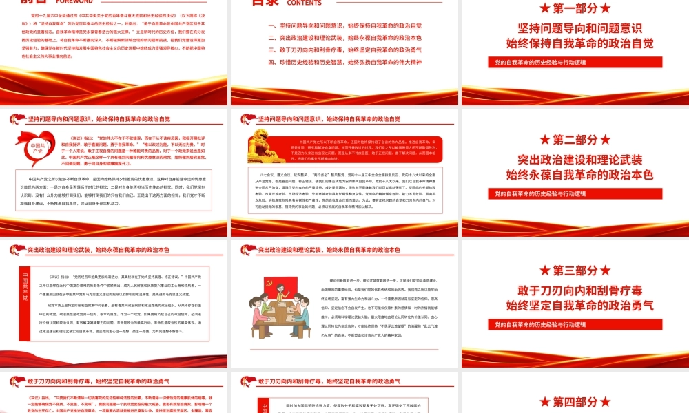 党的自我革命的历史经验与行动逻辑.pptx