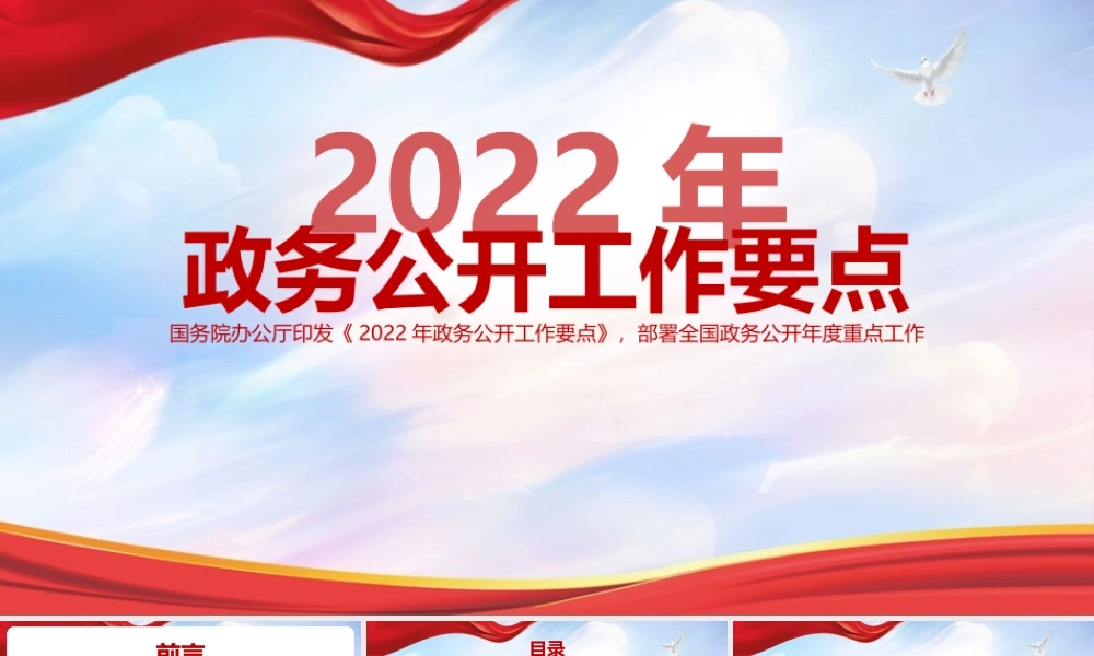 《2022年政务公开工作要点》党课学习PPT课件.pptx