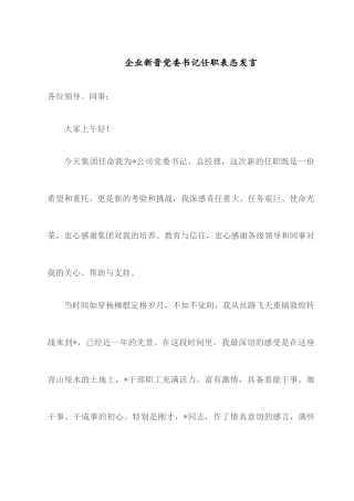 企业新晋党委书记任职表态发言.docx