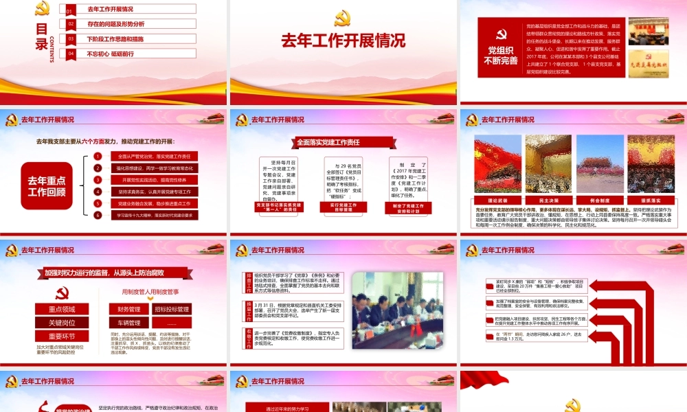 《党支部述职》资料全文PPT课件.pptx