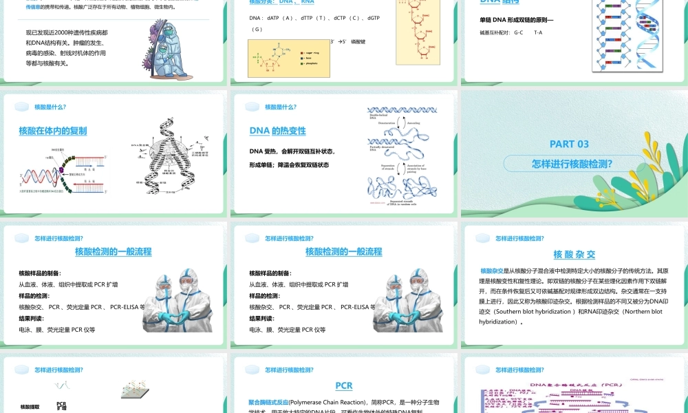 《核酸检测》辅助人员培训ppt.pptx