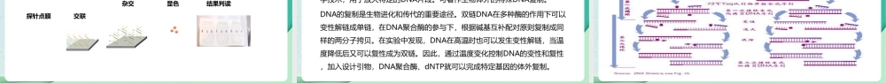 《核酸检测》辅助人员培训ppt.pptx