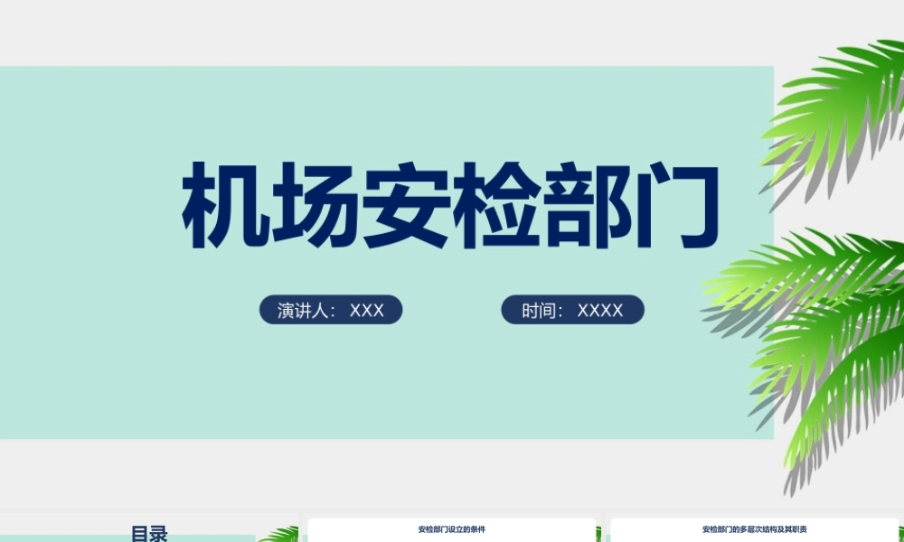 《机场安检》提高安全意识ppt.pptx