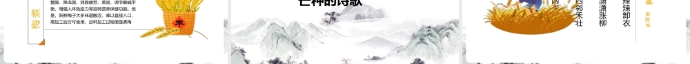 《芒种时节》拓展学习ppt（含内容）.pptx