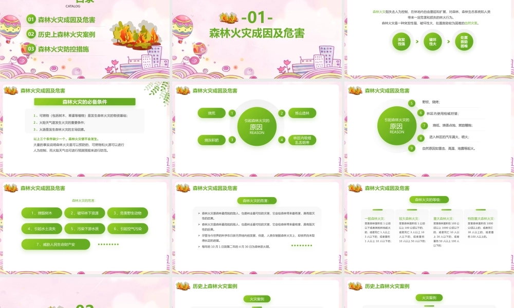 【2022新版】ppt《森林防火》主题班会.pptx