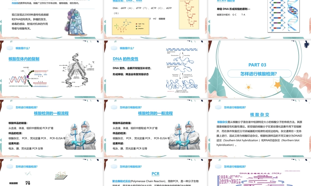 【2022新版】《核酸检测》20合1混采技术规范培训ppt.pptx