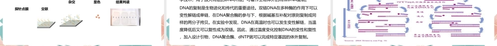 【2022新版】《核酸检测》20合1混采技术规范培训ppt.pptx