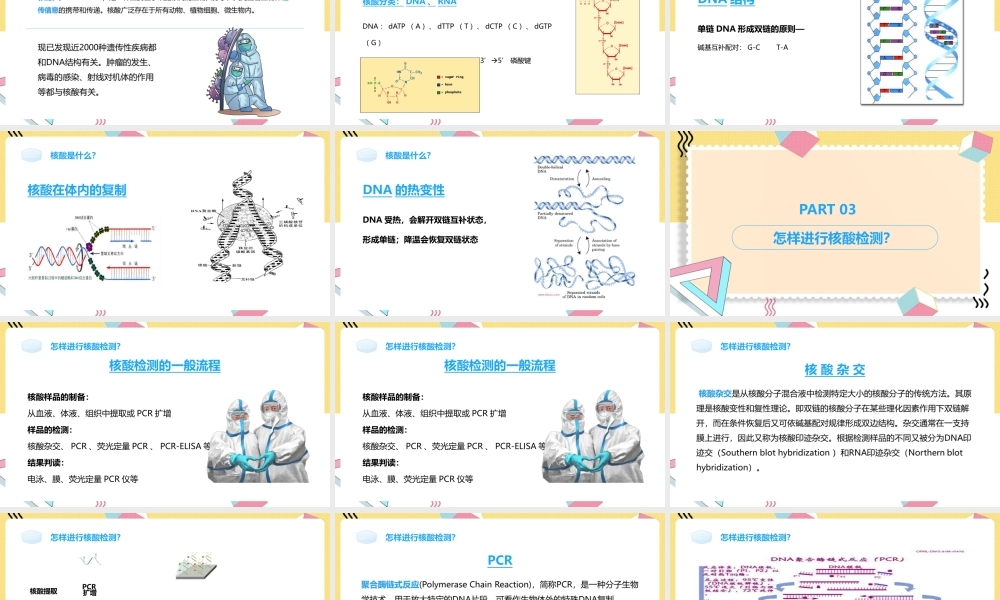 【2022新版】《核酸检测》培训背景ppt.pptx