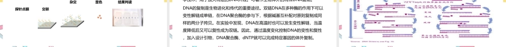 【2022新版】《核酸检测》培训背景ppt.pptx